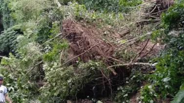 Derrumbes colapsaron el paso en Ocumare de la Costa Derrumbes colapsaron el paso en Ocumare de la Costa