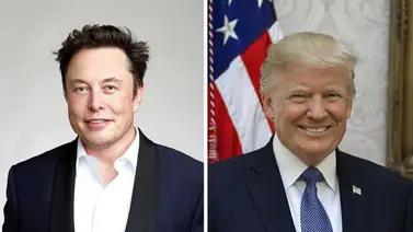 Elon Musk realiza encuesta sobre si Donald Trump debe volver a Twitter Elon Musk realiza encuesta sobre si Donald Trump debe volver a Twitter