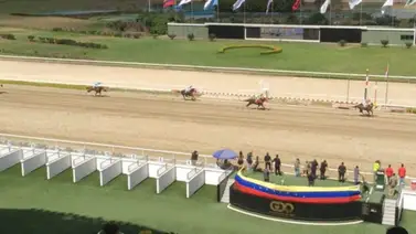 Conoce cuántas veces se ha disputado La Serie Hípica del Caribe en nuestro país Conoce cuántas veces se ha disputado La Serie Hípica del Caribe en nuestro país