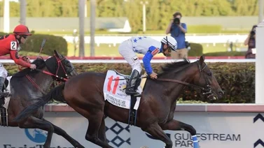 The Brother Slew en busca del Burlesco