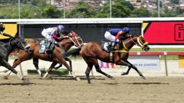 El Gran Rocky vuelve por el desquite