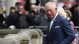 Hermanos del rey Carlos III podrían ser sustitutos en actos públicos (+Detalles)