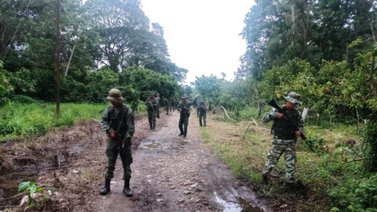FANB recupera hato tomado por presuntos grupos irregulares en Apure
