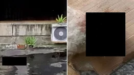 Hombre asesinó a la mascota de su vecino: Lanzó el perro al vacío desde lo alto de un edificio