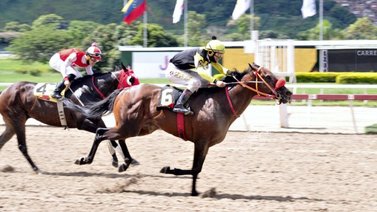 Compadre Chus volará en la sexta válida