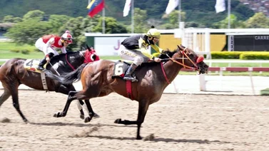 Compadre Chus volará en la sexta válida