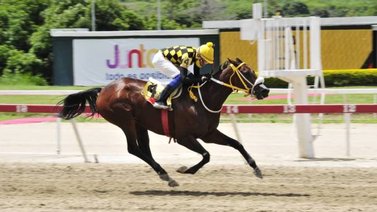 Un Bombazo caerá en el Clásico Antonio José de Sucre