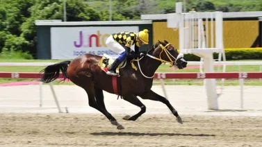 Un Bombazo caerá en el Clásico Antonio José de Sucre