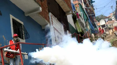 Piden reactivar las fumigaciones ante época de lluvias