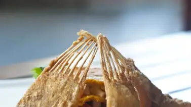 Morocoto frito sobre salsa de ají con patacones Morocoto frito sobre salsa de ají con patacones