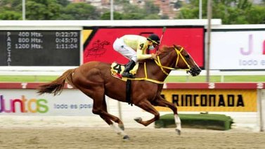 My Titico Mate se despide de la pista caraqueña hasta el 2023
