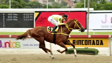 My Titico Mate se despide de la pista caraqueña hasta el 2023 My Titico Mate se despide de la pista caraqueña hasta el 2023