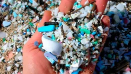 Microplásticos ponen en alto riesgo las costas del planeta