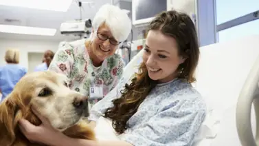 Estas son las cuatro mejores razas de perros de terapia Estas son las cuatro mejores razas de perros de terapia