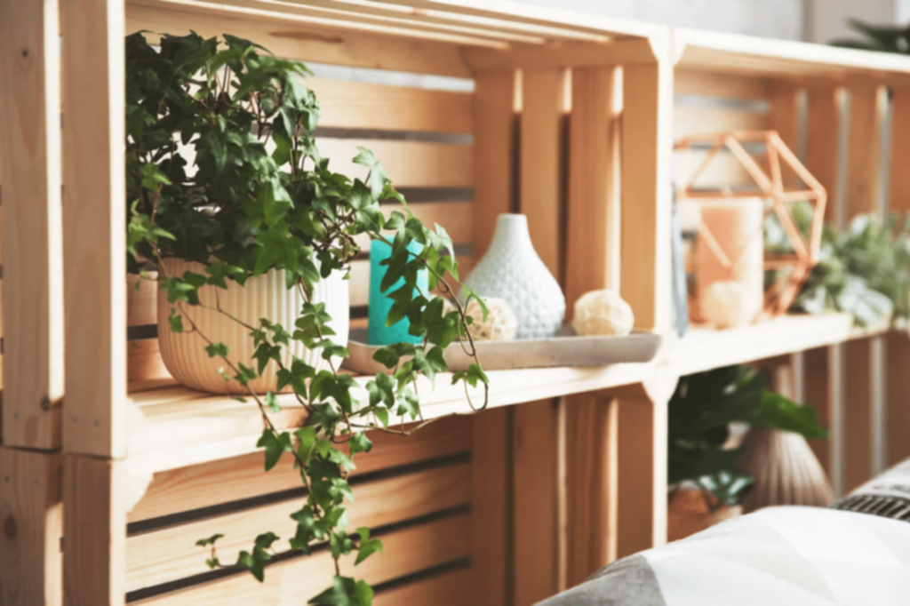 Ambientes eco-friendly con cajas recicladas Ambientes eco-friendly con cajas recicladas