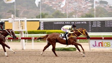 My Titico Mate viene por lo suyo en el Clásico Nuestra Señora de la Chiquinquirá