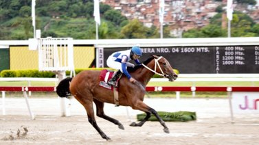 La triple coronada Lyndacarter reta a los machos la quinta válida para el 5y6