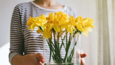 Evita que el agua del florero huela mal