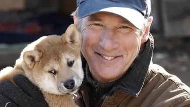Perros famosos del cine y la televisión