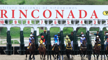 Party Prince buscará su primer triunfo en La Rinconada