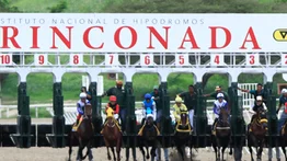 Party Prince buscará su primer triunfo en La Rinconada