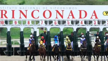 Party Prince buscará su primer triunfo en La Rinconada Party Prince buscará su primer triunfo en La Rinconada