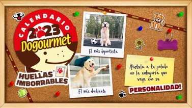 Dogourmet presenta su noveno calendario