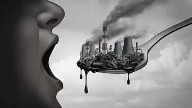 Contaminación por plomo mata miles de personas anualmente Contaminación por plomo mata miles de personas anualmente
