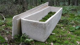 El ataúd ecológico es la nueva sensación en Austria