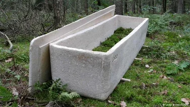 El ataúd ecológico es la nueva sensación en Austria