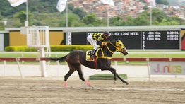 La dosañera Tequila va por el Clásico Edgard Ganteaume