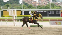 La dosañera Tequila va por el Clásico Edgard Ganteaume