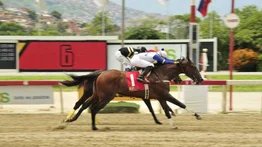 My Father Antonio sobresale en las carrera nos válidas
