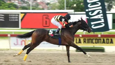 The Queen Nani tiene la mesa servida para llevarse la sexta válida The Queen Nani tiene la mesa servida para llevarse la sexta válida