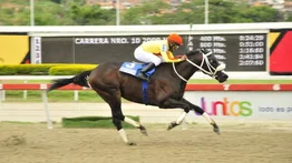 El pupilo del Quaterback Lifesttar reaparece tras 203 días sin correr