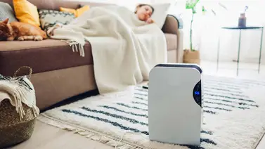 Razones para usar deshumificadores Razones para usar deshumificadores