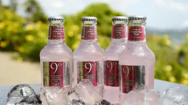 Grapefruit Pink: nuevo sabor de 9° Grados Premium Mixers Grapefruit Pink: nuevo sabor de 9° Grados Premium Mixers