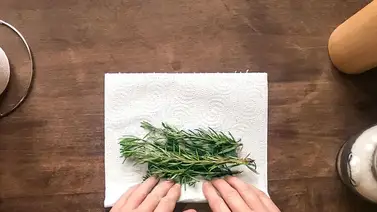 Cómo conservar las hierbas aromáticas Cómo conservar las hierbas aromáticas