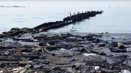 Alarma en Maracaibo | Piden a la estatal Pdvsa limpiar manchas de petróleo en el lago