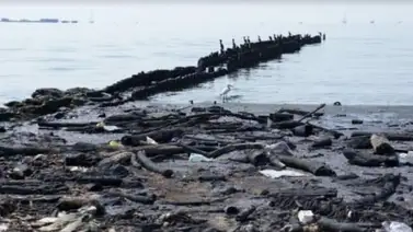 Alarma en Maracaibo | Piden a la estatal Pdvsa limpiar manchas de petróleo en el lago Alarma en Maracaibo | Piden a la estatal Pdvsa limpiar manchas de petróleo en el lago