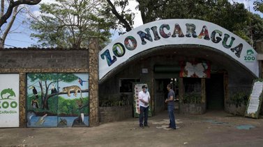 Zoológico principal de Nicaragua será administrado por el Gobierno