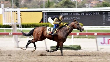 Baquiano en busca de una nueva victoria para el ZM