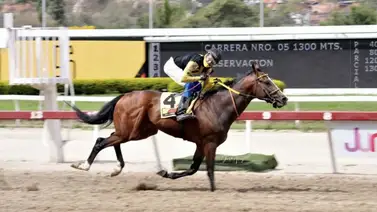 Baquiano en busca de una nueva victoria para el ZM Baquiano en busca de una nueva victoria para el ZM