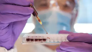 Registran el primer caso de cólera en Bahamas Registran el primer caso de cólera en Bahamas