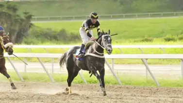Ciclón en busca de su tercera victoria al hilo con el "Pancho" Urdaneta Ciclón en busca de su tercera victoria al hilo con el "Pancho" Urdaneta