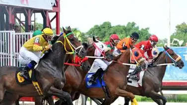 Llamarada Queen reta a las ganadoras de una competencia en La Rinconada Llamarada Queen reta a las ganadoras de una competencia en La Rinconada