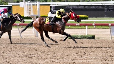Compadre Chus volará en los metros finales