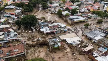 Digitel y Movilnet reactivarán su servicio telefónico en Las Tejerías Digitel y Movilnet reactivarán su servicio telefónico en Las Tejerías