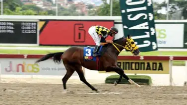 Pompeyo es una línea en la reunión 41 para el 5y6 Pompeyo es una línea en la reunión 41 para el 5y6