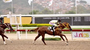 El campeón del Stud Azatlán va por el Clásico Virgilio Decán